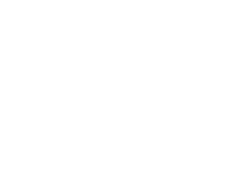 Moldbrothers Food